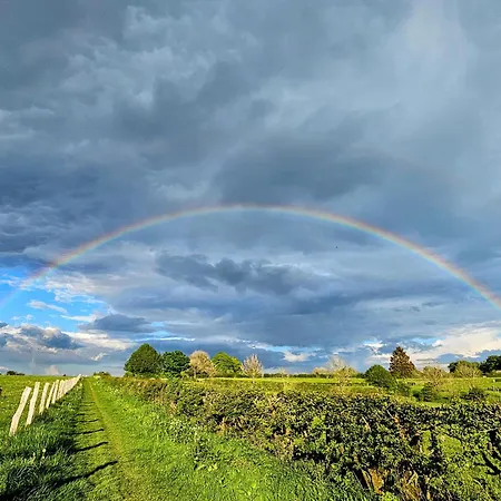 Haus Andrea Theresia 아파트 *