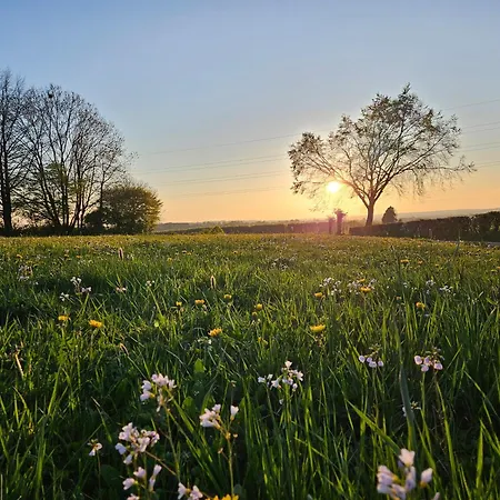 شقة Haus Andrea Theresia *