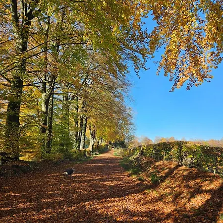 Haus Andrea Theresia